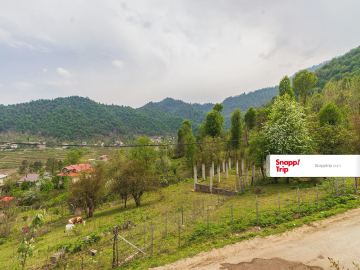 کلبه چوبی ابیشی