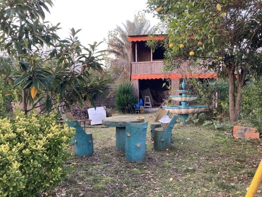 حیاط حیاط