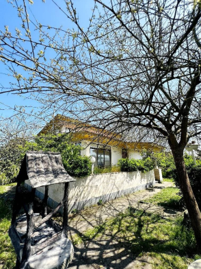 محوطه محوطه