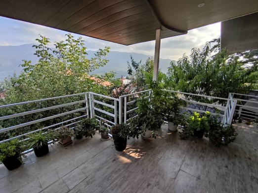 تراس ویلای جنگلی امیر