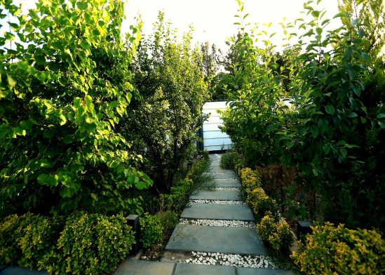 حیاط حیاط