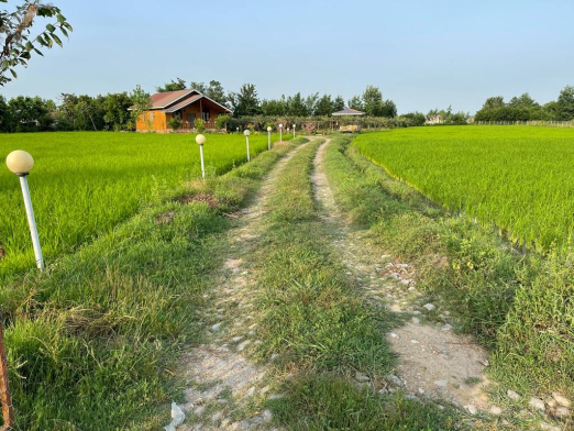 ورودی دروازه