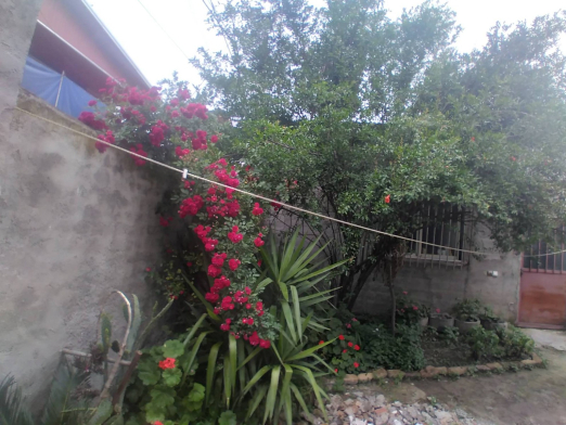 نمای بیرونی ساختمان