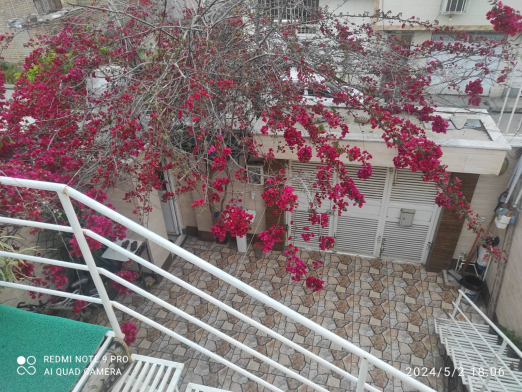 حیاط ویلای یک خوابه در فجر