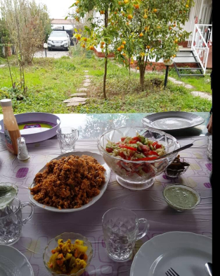 ویلای سرسبز "ویژن"