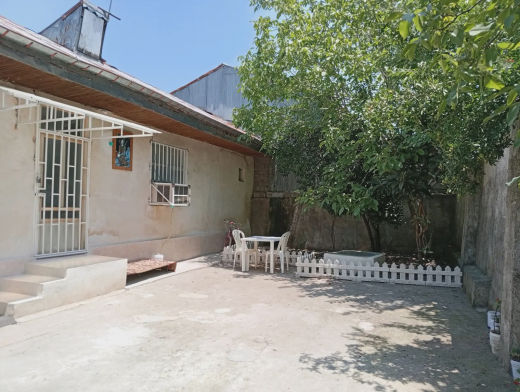 ویلا هانی