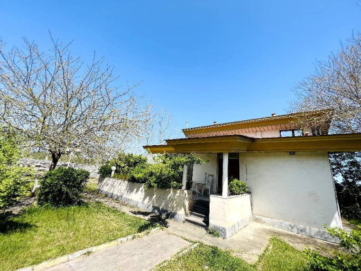 نمای خانه نمای خانه