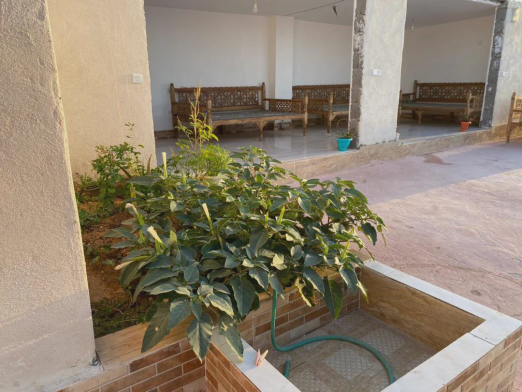 سوئیت ساحل سرخ (اتاق 3 تخته)