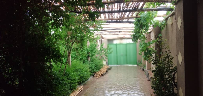 حیاط اقامتگاه خانه طبیعت