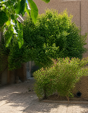 سوئیت احمدیان تکاب