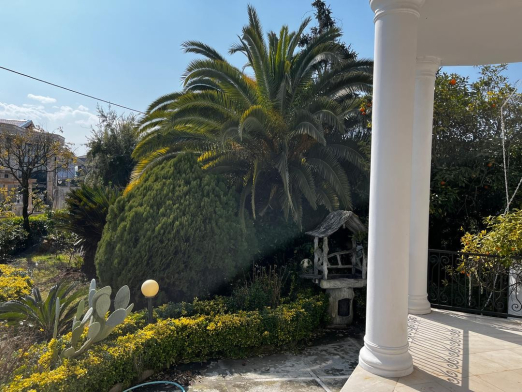 حیاط