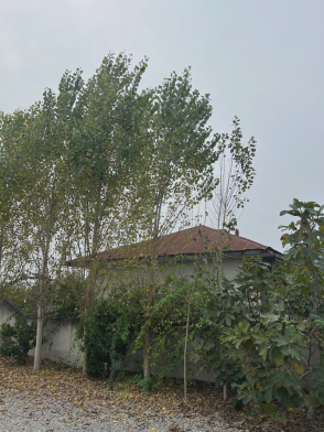 ویلا برکه ی آرام