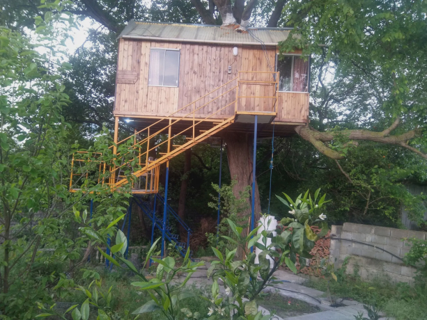 کلبه خونه درختی فرهاد