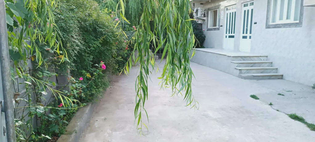 ویلایی آراز