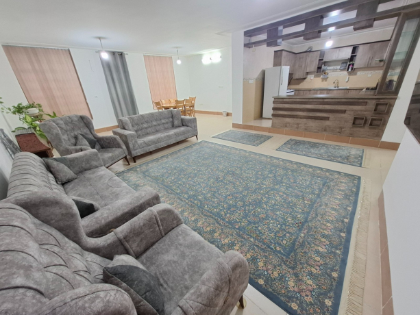 اتاق پذیرایی واحد دو خوابه آریوبرزن (2)