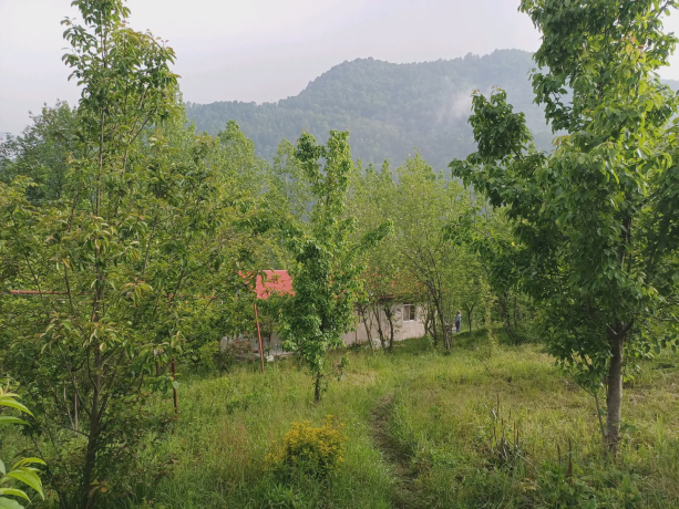 ویلا تیته