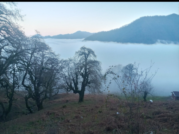 نمای ساختمان کلبه تنهای ییلاقی