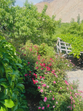 ویلایی حبیب (شاهنشین)