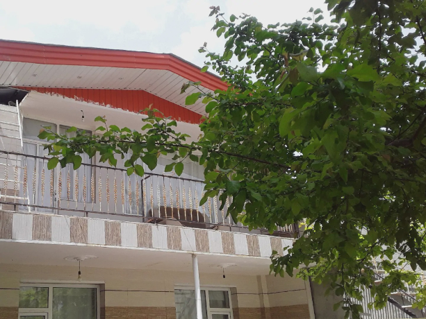 ویلایی بختیاری