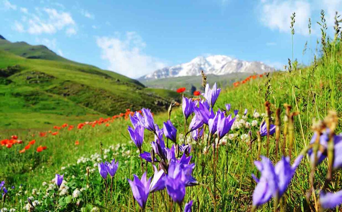 دامنه های سرسبز سبلان