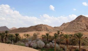 راهنمای رفتن به عروسان