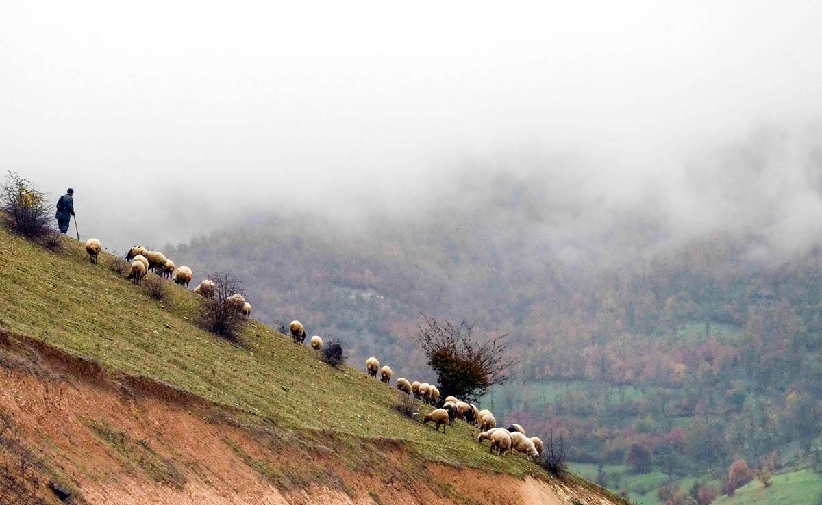7 جاذبه معروف رستم آباد؛ راهنمای سفر به رستم آباد گیلان