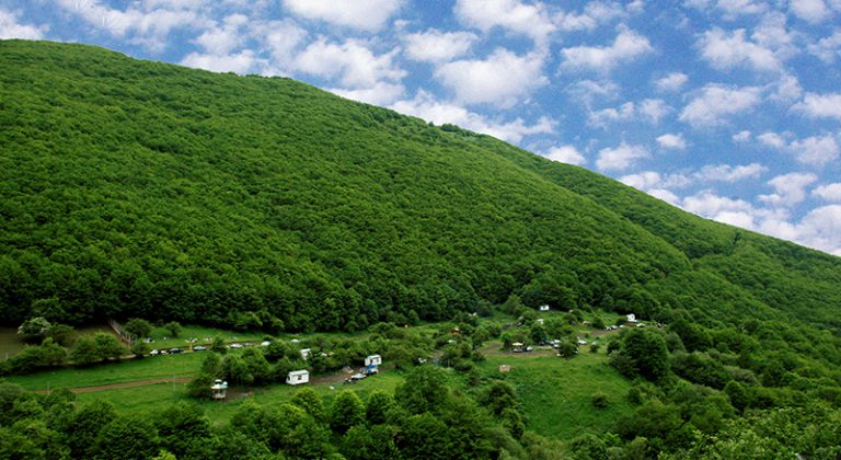 جنگل‌های ارسباران
