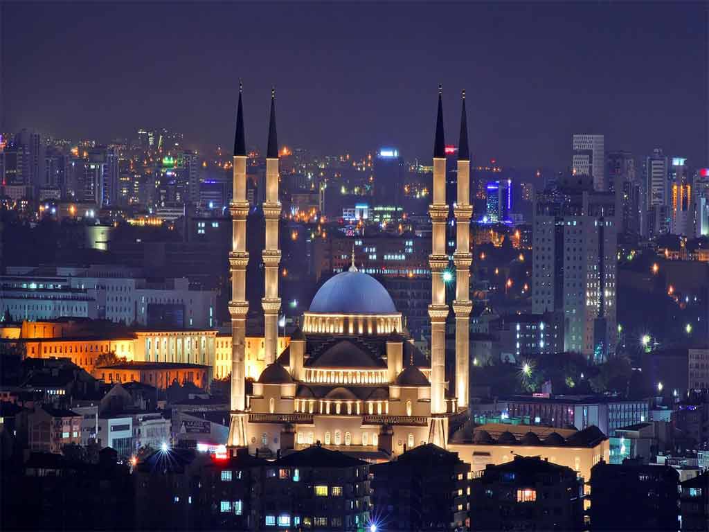 ۳. تابستان: زمان فعالیتهای شبانه