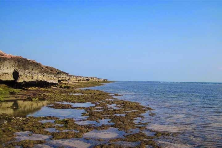 پوشش گیاهی و مناظر کوهستانی
