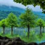 دریاچه الندان؛ نگین فیروزه‌ای مازندران که باید ببینید!