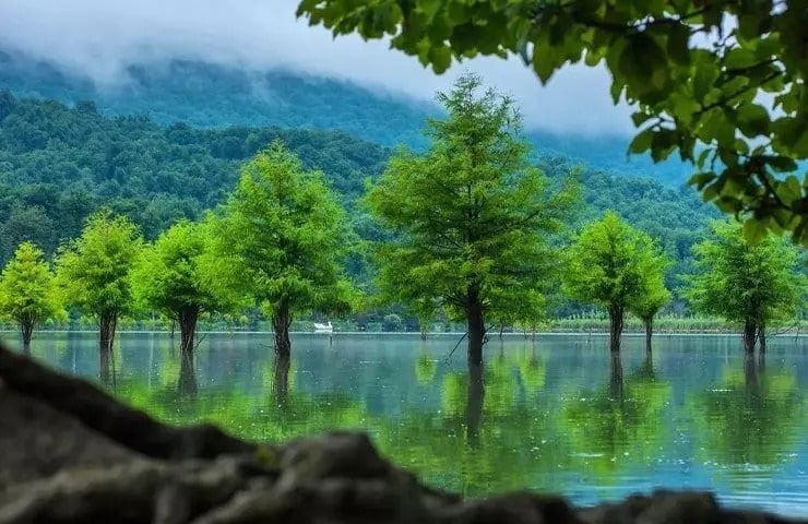 دریاچه الندان؛ نگین فیروزه‌ای مازندران که باید ببینید!