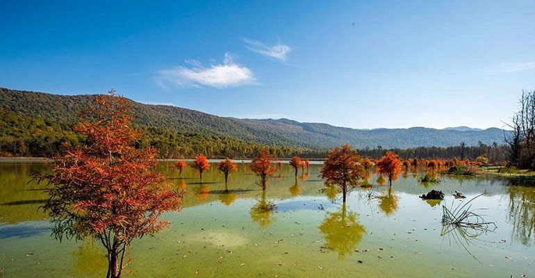جذابیتهای طبیعی