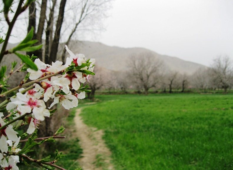 راهنمای سفر به اراک، از گیوه‌دوزی تا گلیم‌بافی