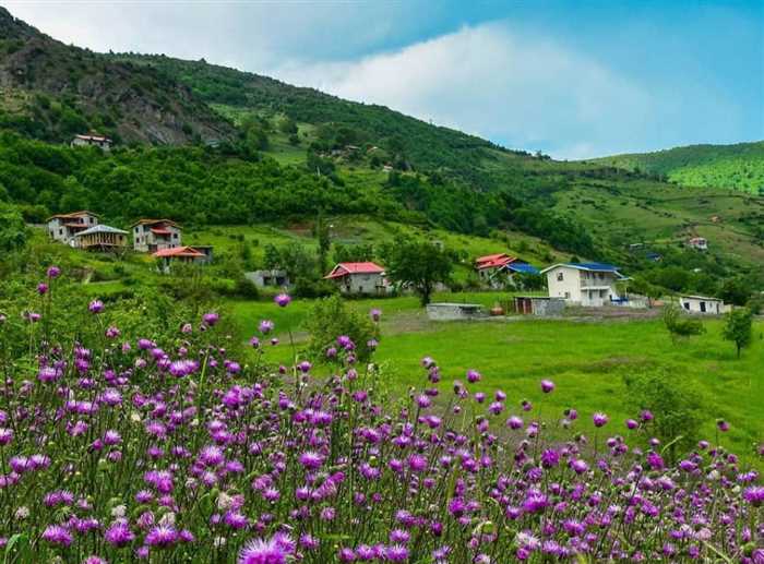 روستای گرسماسر در رامسر