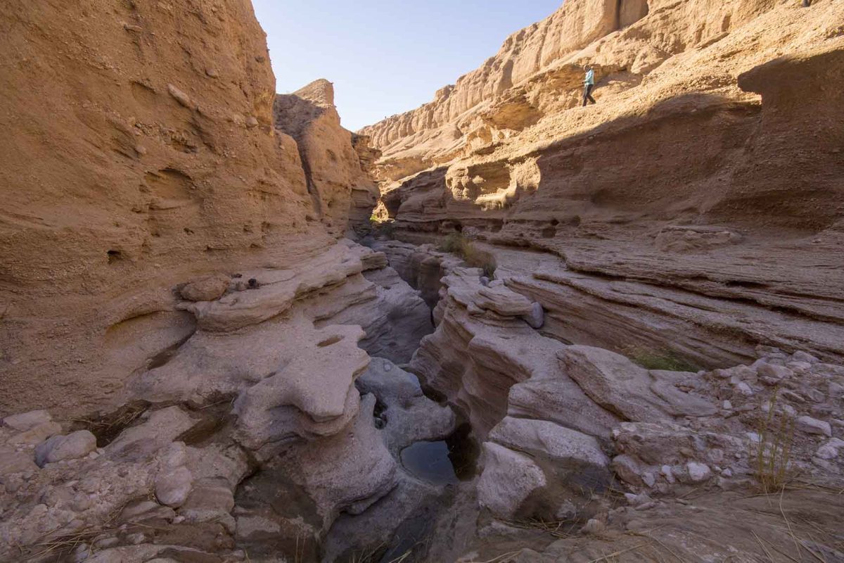 کال جنی کال جنی