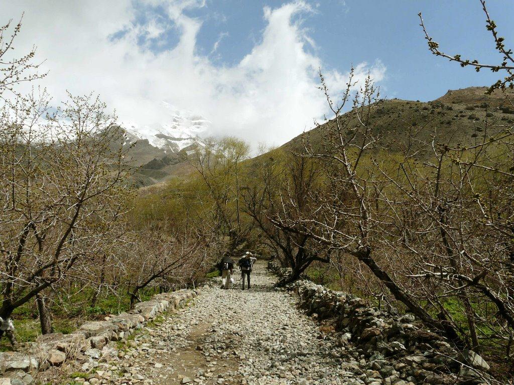 روستای افجه روستای افجه