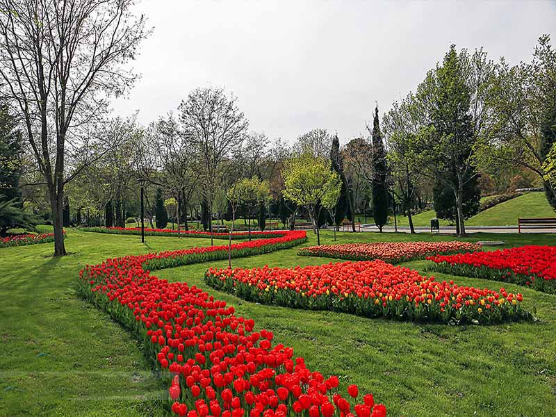 پارک های مشهد؛ آشنایی با بهترین پارکها و فضاهای سبز مشهد