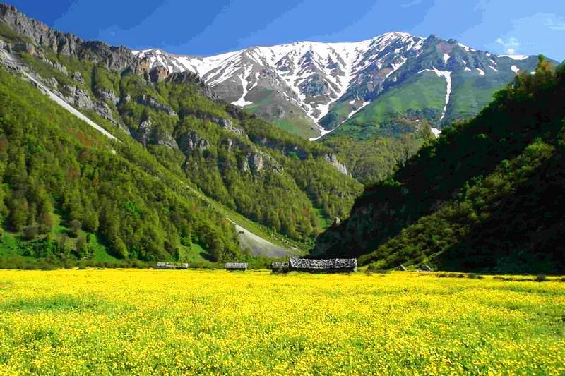دشت دریاسر دشت دریاسر