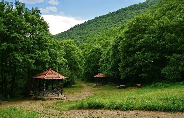 پارک جنگلی مکیدی پارک جنگلی مکیدی
