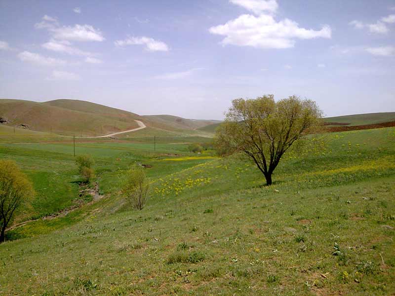 بخش سارال