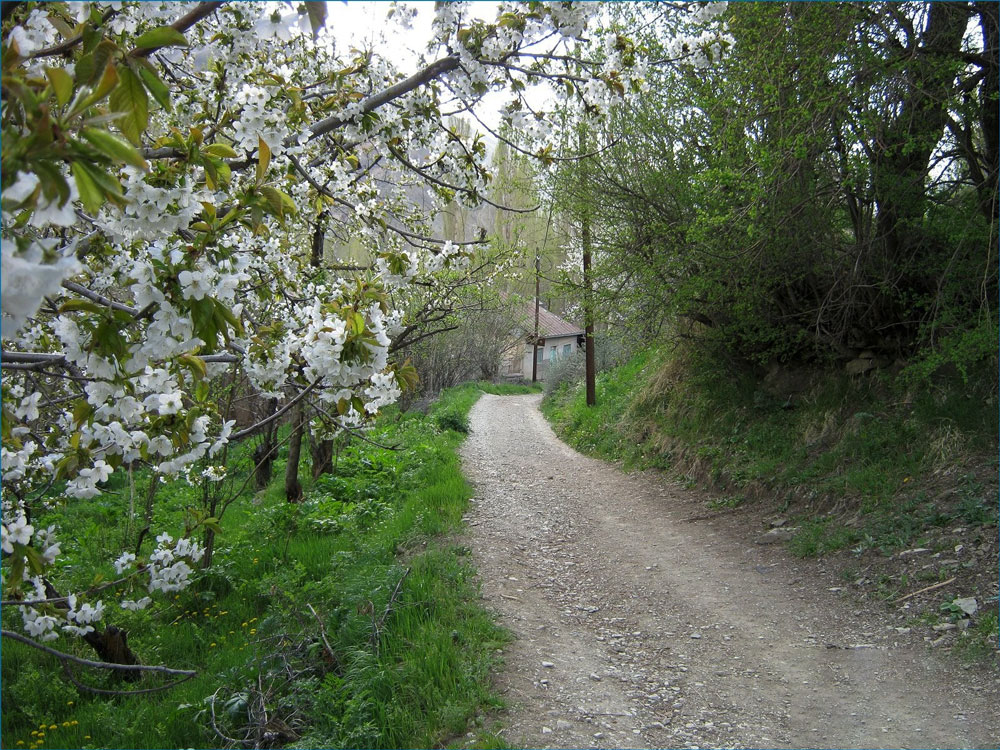 روستای برگ جهان روستای برگ جهان