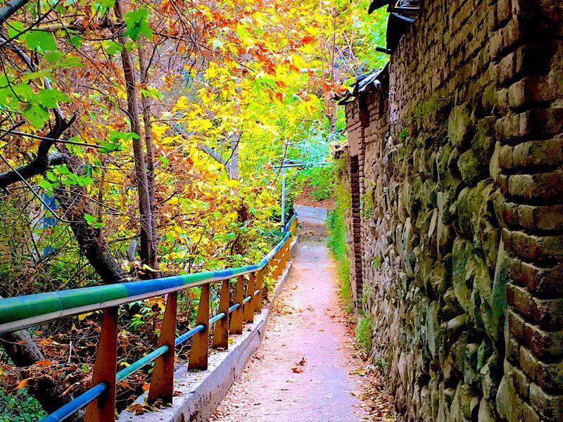 گردش در درکه تهران، لحظاتی دور از هیاهوی شهر