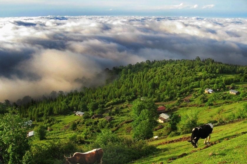 مرداب دیوک مازندران