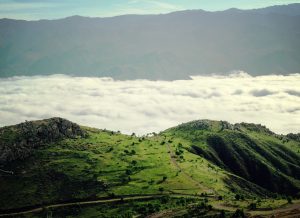 چیزهایی که درباره جنگل ابر نمی‌دانید