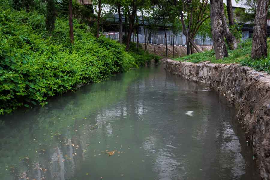 مادی ها