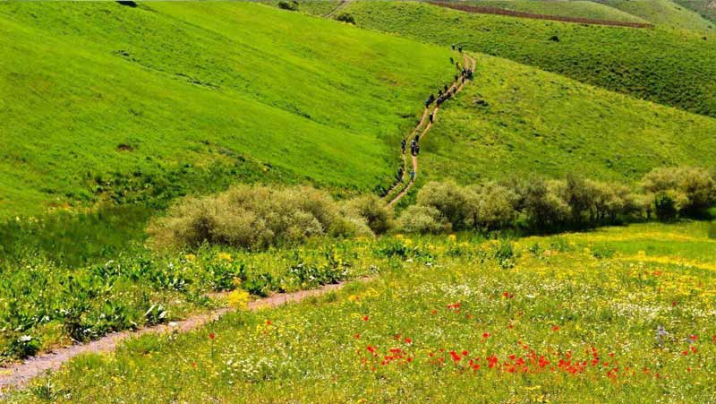 سارال کردستان کجاست؟