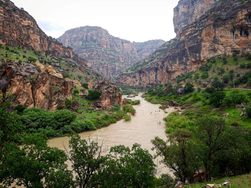 تنگ شیرز تنگ شیرز