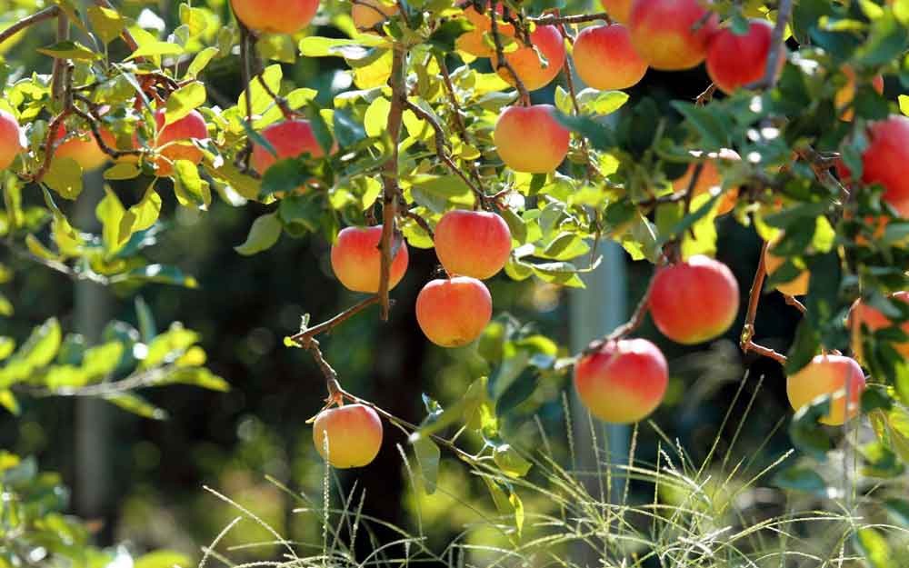 راهنمای جاهای دیدنی طالقان