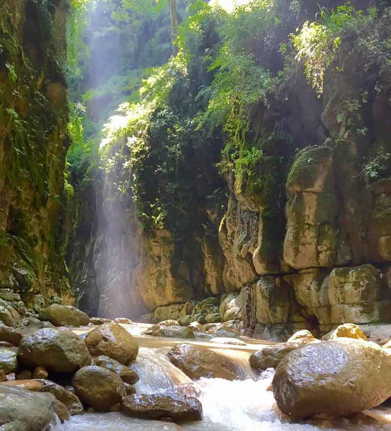 تنگ دار تنگ دار