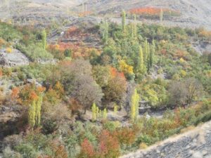 روستای زشک مشهد؛ قطعه ای زیبا در اطراف یک کلان شهر